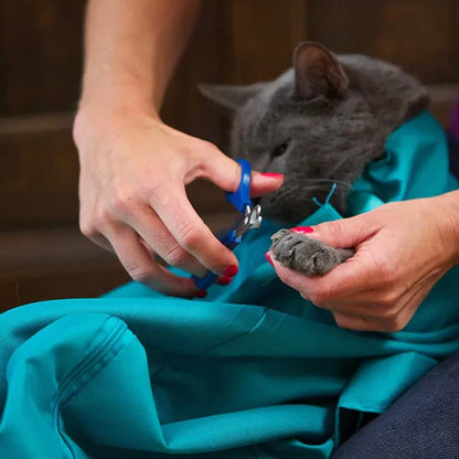 1 Alana 1 BEDAVA : Kedi Taşıma Torbası