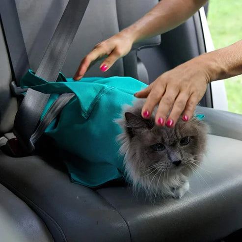 1 Alana 1 BEDAVA : Kedi Taşıma Torbası
